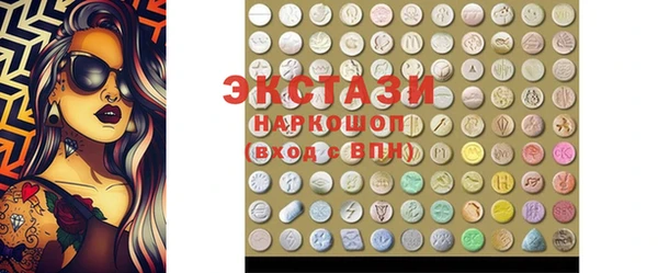 ECSTASY Бородино